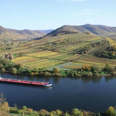 Haus Budinger By Interhome Appartement Alf